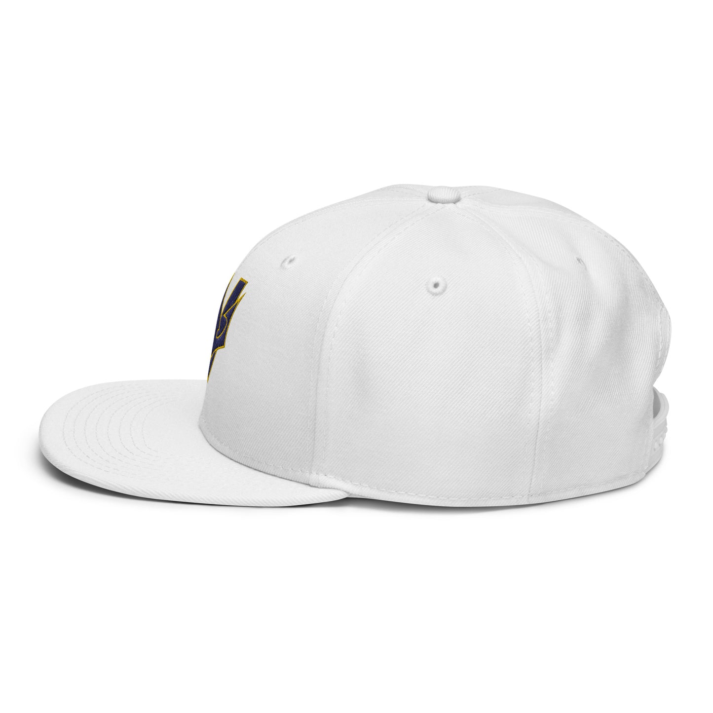 VGYL Otto Cap Snapback