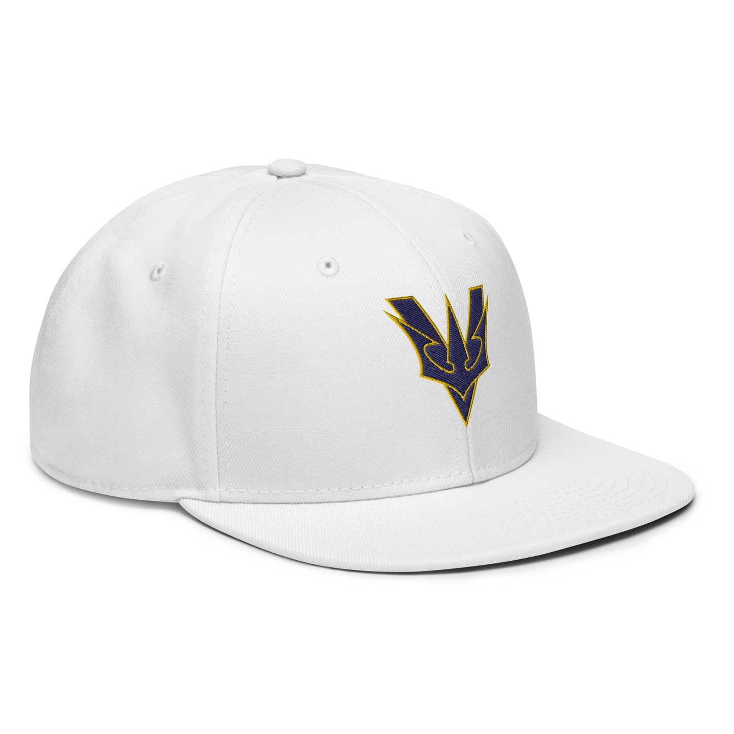 VGYL Otto Cap Snapback
