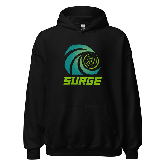 Adult Gildan Heavy Blend Hoodie
