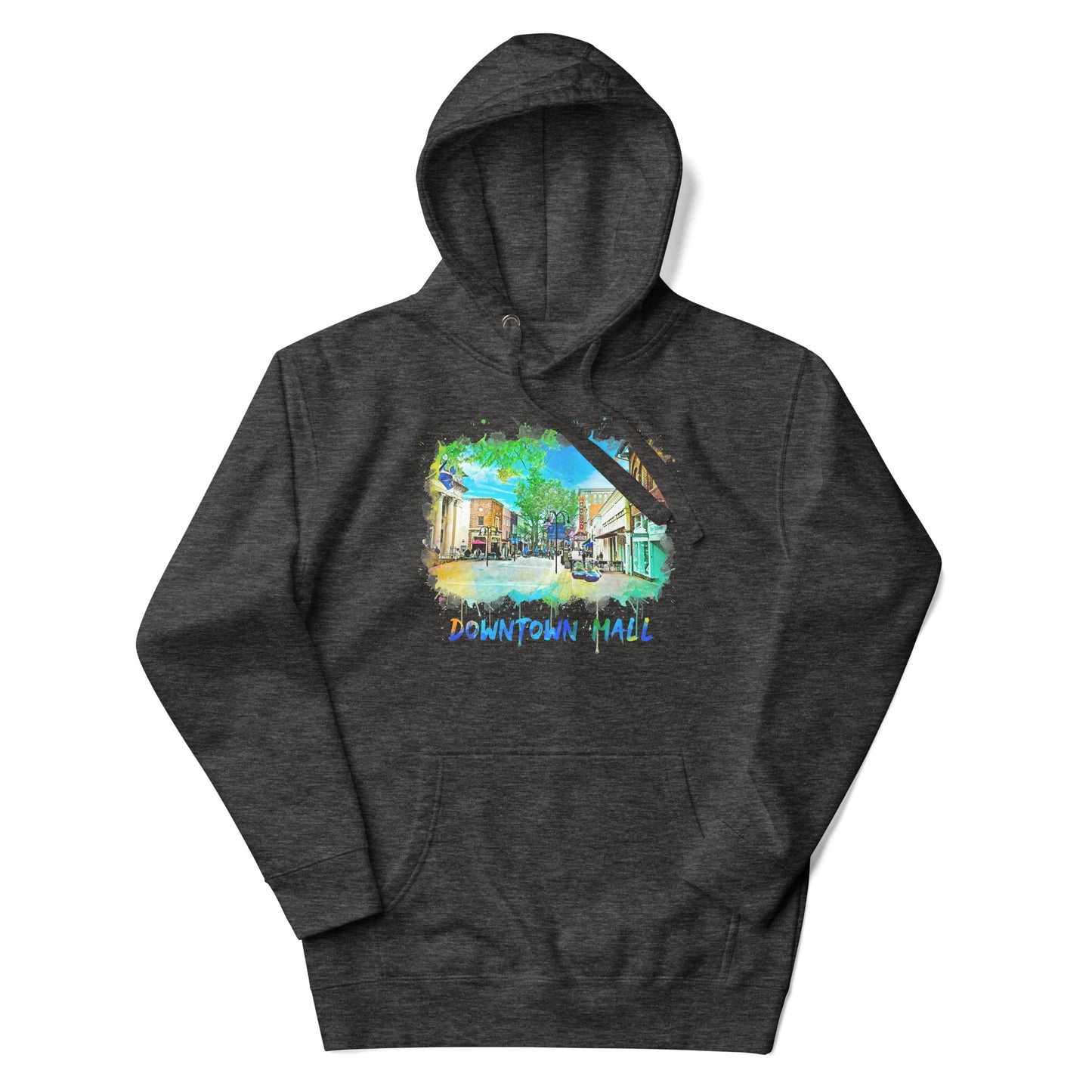Adult Charlottesville Downtown Mall Hoodie