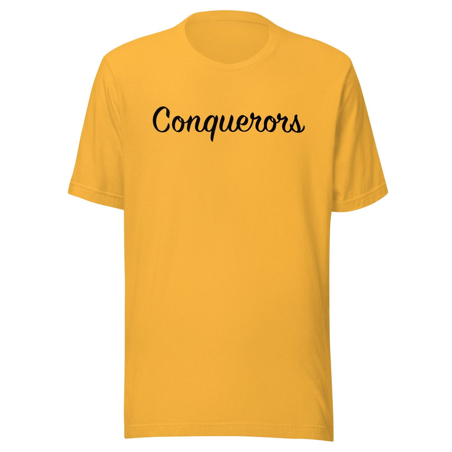 Adult Cotton Jersey T-Shirt