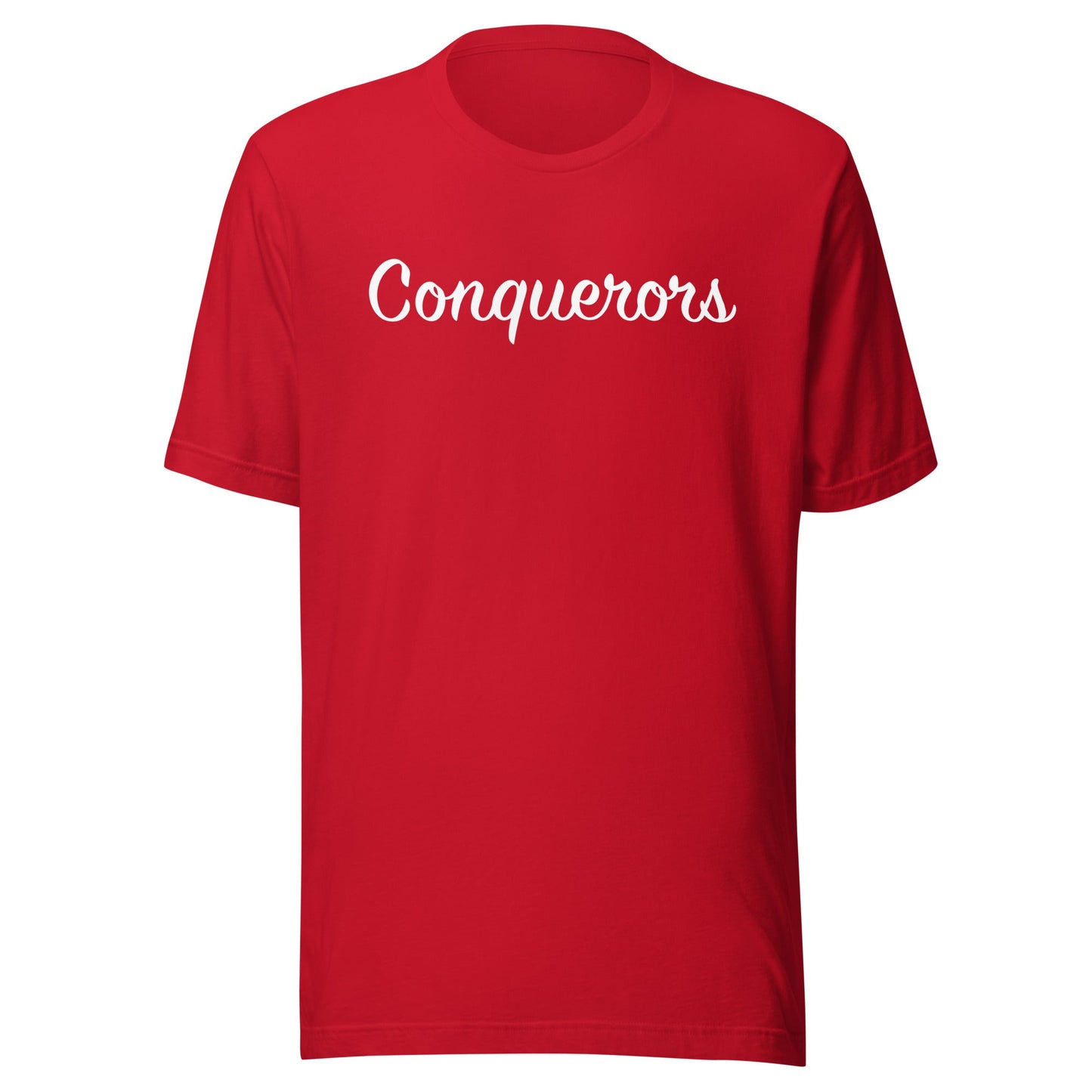 Adult Cotton Jersey T-Shirt
