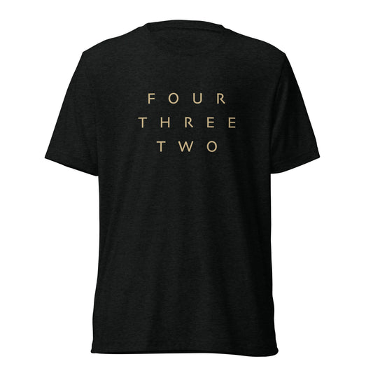 Adult Bella + Canvas Tri-Blend T-Shirt