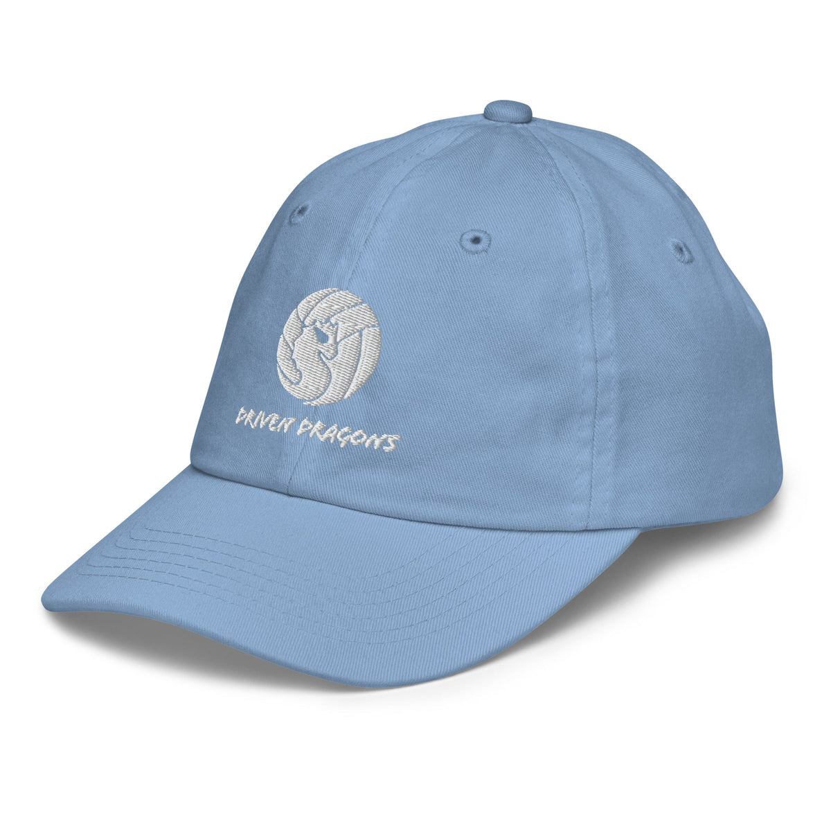 Youth Driven Dragons Hat