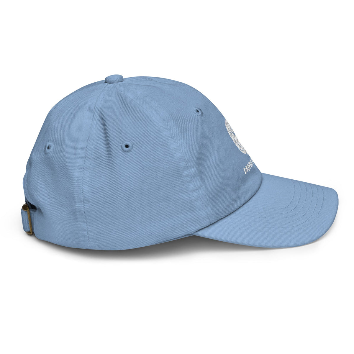 Youth Driven Dragons Hat